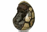 Gorgeous, Septarian Dragon Egg Geode - Crystal Filled #124531-2